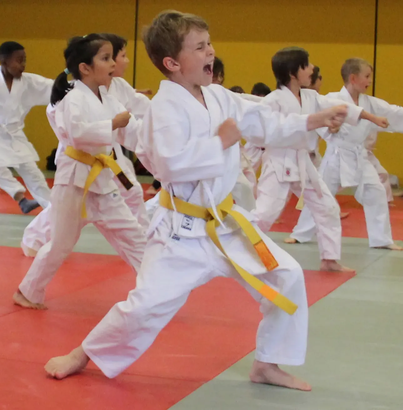 Kit De Planches De Rupture Cassables Pour Arts Martiaux (Karaté, Taekwondo) - Enfants/Adultes